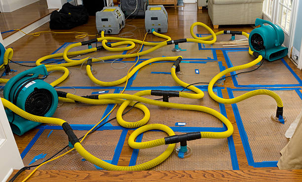 Professional Flood Damage Restoration technician working in Viola, NY